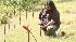 Hurley (Jorge Garcia) kneels before a grave.