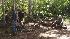 Sayid Jarrah (Naveen Andrews) and Sawyer (Josh...