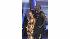 Chad Ochocinco and Cheryl Burke perform on week...