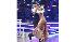 Singer Nicole Scherzinger and partner Derek...