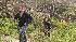 Sawyer (Josh Holloway) leads Claire Littleton...