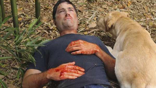 Back on the Island, Jack Shephard (Matthew Fox) has just stopped the place from becoming Atlantis and is woken up by Vincent the dog.