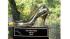 The High Heel-a-thon trophy, which went to...