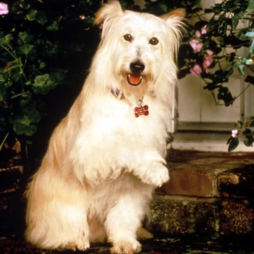 Happy in a promotional still for '7th Heaven.'