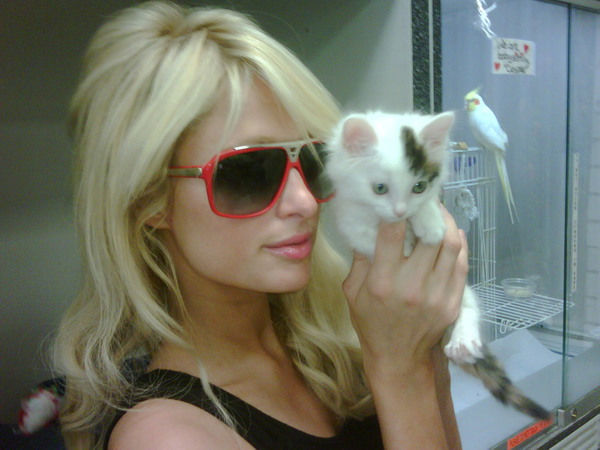 Paris Hilton adopted a kitten named Munchkin in...