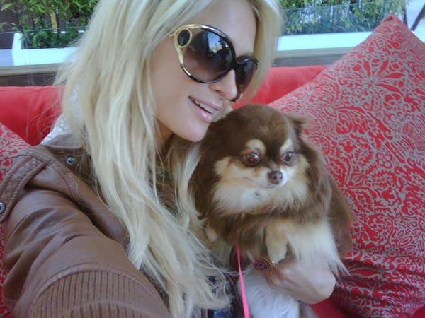 Paris Hilton posted this photo of her...