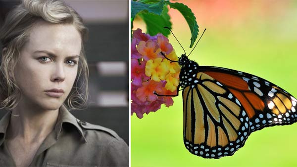 Nicole Kidman has a fear of butterflies....