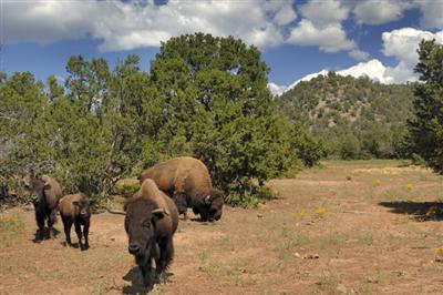 Val Kilmer's New Mexico Ranch. It contains a...