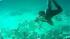 Great Barrier Reef has stunning beauty :: When you visit Australia, you must visit the Great Barrier Reef. Tina Malave explores the stunning natural beauty.
