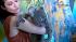 Tour Australia's wildlife, rainforest :: Australia offers many outdoor adventures. Tina Malave checks out the wildlife and tours the stunning rainforest.