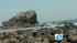 At Leo Carrillo State Beach, you can explore...