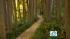 The Virginia Robinson Gardens in Beverly Hills...