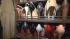 Karina Smirnoff's Louboutin-filled closet :: Eye on L.A.s Tina Malave got green with envy of Dancing pro Karina Smirnoffs massive, Louboutin-filled shoe closet.