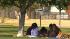 Downtown LA's great outdoors :: The great outdoors is not what comes to mind when thinking about downtown L.A., but Eye On L.A. found its got a lot to offer.