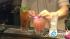 The Cana Rum Bar differs from your average bar -...