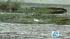This natural water source drew the first...