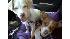 ABC7 viewer Angelina Sears of Huntington Beach,...