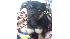 ABC7 viewer Emily Abrigo Orquiza of Fontana,...