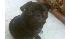 ABC7 viewer Michael Egan of Bellflower, Calif.,...