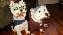 ABC7 viewer Lisa White of Sunland, Calif., sent...