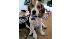 ABC7 viewer Jacob Love of Loma Linda, Calif.,...