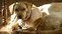 ABC7 viewer Tracy Merrin of Redondo Beach,...