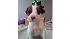 ABC7 Twitter follower Natalie McBee of Las...