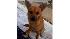 ABC7 viewer Michelle Yi of Mt. Washington,...