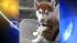 ABC7 viewer Sarandy Meas of Long Beach, Calif.,...