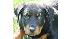 ABC7 viewer Ruth Endow of Lakewood, Calif., sent...