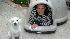 ABC7 viewer Lynea Landeis of Irvine, Calif.,...