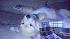ABC7 viewer Julie Han Chang of Placentia,...