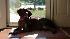 ABC7 viewer Solomon Baisa of Oak Park, Calif.,...