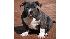 ABC7 viewer Bella Heredia of San Jacinto,...