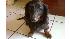 ABC7 viewer Joshua Lien of Orinda, Calif., sent...