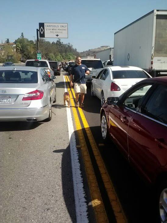 An ABC7 viewer sent in this photo of walking on the 60 Freeway after an accident involving three vehicles brought traffic to a standstill on Friday, Oct. 19, 2012.