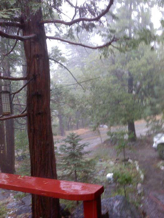 From ABC7 viewer Nancy, rain and hail in Forest...