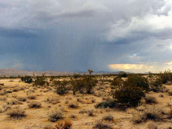 From ABC7 viewer Cindy Surber, storm over...