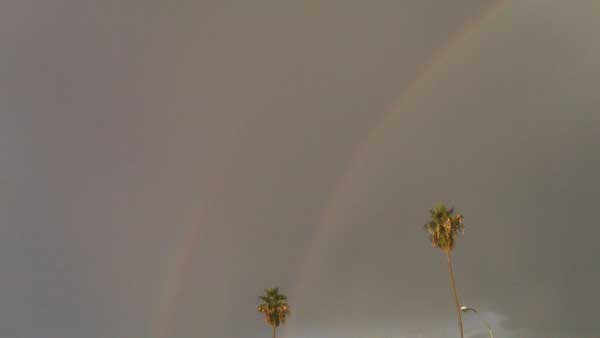 Scattered showers across the Los Angeles area...