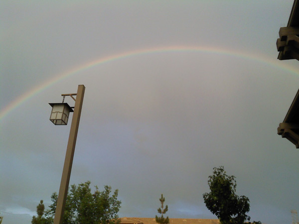 ABC7 viewer Nancy Hernandez from Rancho...