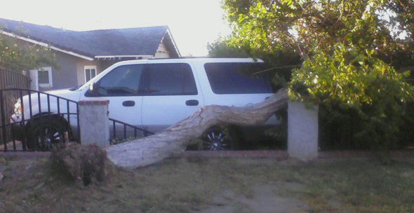 ABC7 viewer Tina Allbecker of Rancho Cucamonga...