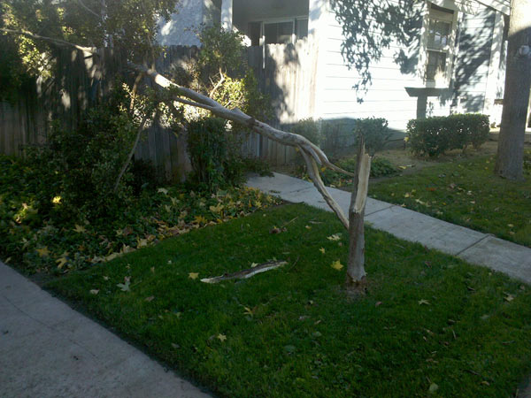 ABC7 viewer Christina Tad sent in this photo of wind damage in Chino on Thursday, Nov. 11, 2010.