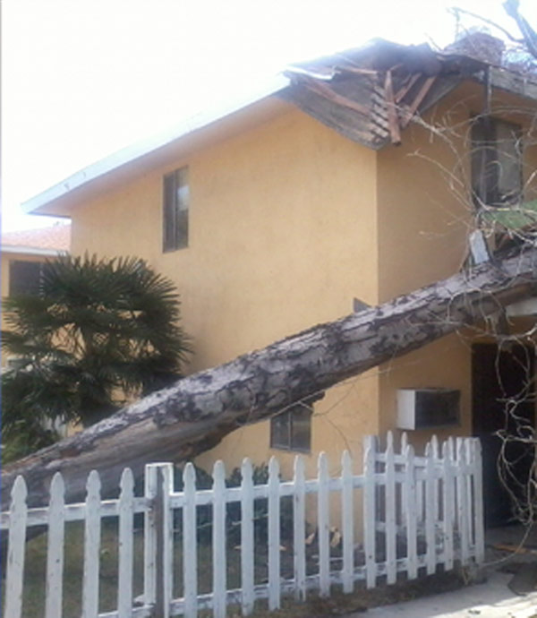 An ABC7 viewer sent in this photo of wind damage...