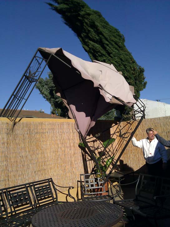 ABC7 viewer Shirley Moore of Chino sent in this...
