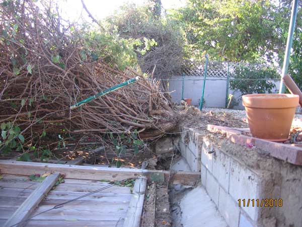 ABC7 viewer Ursula Biloschaetzke of Ontario sent...