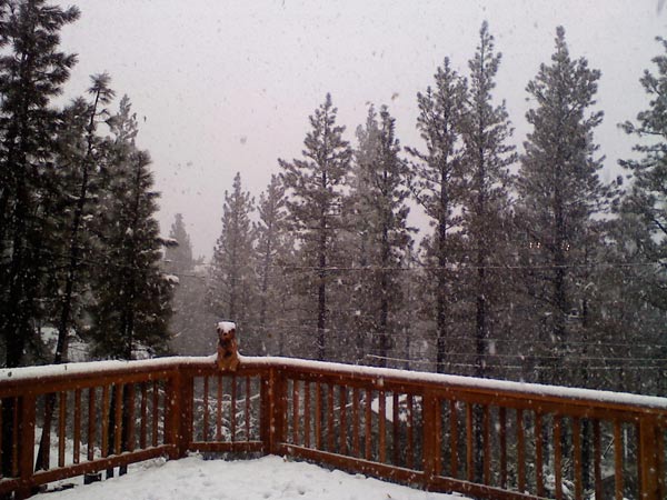 ABC7 viewer Adrianna Magallanes sent in this...