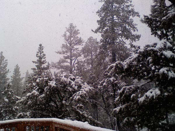 ABC7 viewer Adrianna Magallanes sent in this photo of snow in Big Bear City on Wednesday, Dec. 22, 2010.
