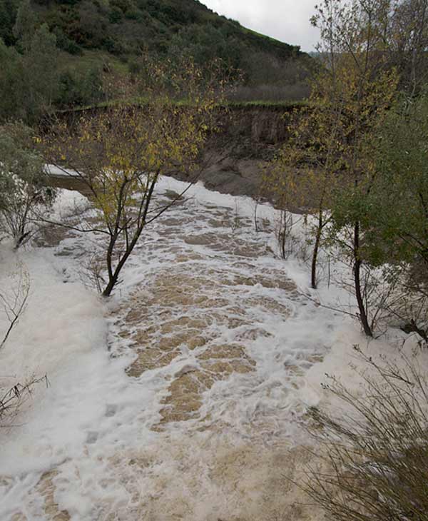 ABC7 viewer Gar Cropser sent in a photo of...