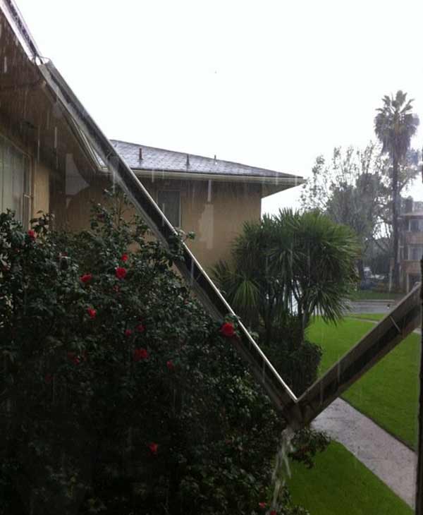 ABC7 viewer Arianna Reel sent in a photo of a...