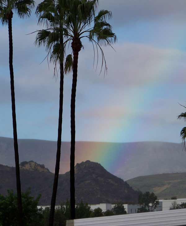 ABC7 viewer Renee Renna sent in this photo of a...